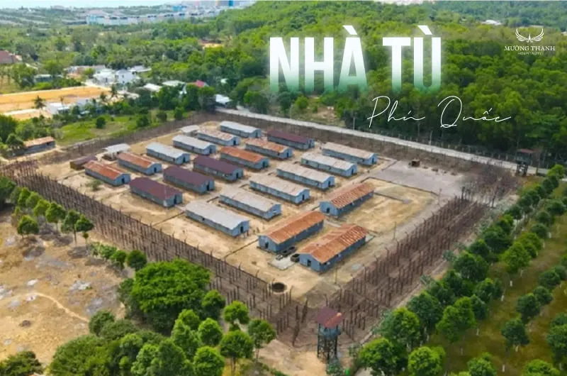 choi-gi-o-phu-quoc-10-trai-nghiem-nen-kham-pha-10923